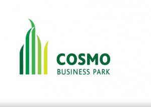 Ceiling installation and repair services